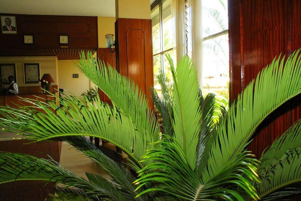 Kivi Milimani Hotel Ναϊρόμπι Εξωτερικό φωτογραφία